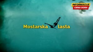 Novi pogled na “Mostarsku lastu”