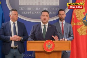 Opozicija: Nakaradni zakoni vode ka totalitarizmu, Vlada da ih povuče