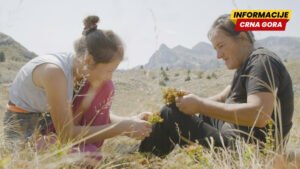 Film „Planina“ premijerno pred evropskom publikom u Kopenhagenu