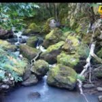 Turisti u Đalovića klisuri već tokom ljeta?