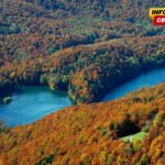 Nacionalni park Biogradska gora od ponedjeljka otvoren za posjete