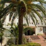 Preminuo student koji je pao sa četvrtog sprata studentskog doma u Kotoru