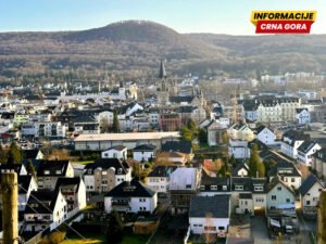 Vedra narav – zdrava krv