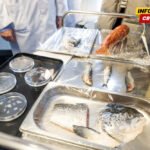 Španski istraživači razvili jeftinu vještačku rožnjaču od ribljih krljušti