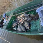 NPCG: Dan prije početka ribolovnog zabrana oduzeta opreme za izlov putem struje, plovila, sonde…