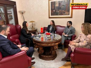 Andrić: Govor mržnje ozbiljna prepreka javnom angažmanu žena u različitim sferama društva