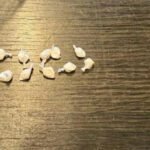 Uhapšen Podgoričanin kod kojeg je pronađeno 21 pakovanje kokaina