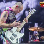 I neuspjeh je važan: Da objavi džez album ohrabrio ga citat Nila Janga