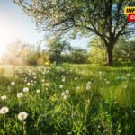 Proljeće počinje danas u 15 časova i 46 minuta