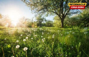 Proljeće počinje danas u 15 časova i 46 minuta