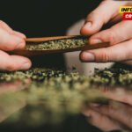 Podignuta optužnica protiv osumnjičenog za proizvodnju marihane