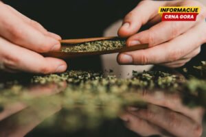 Podignuta optužnica protiv osumnjičenog za proizvodnju marihane