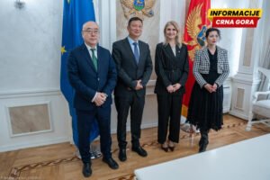 Kineske kompanije iz polja energetike spremne za saradnju