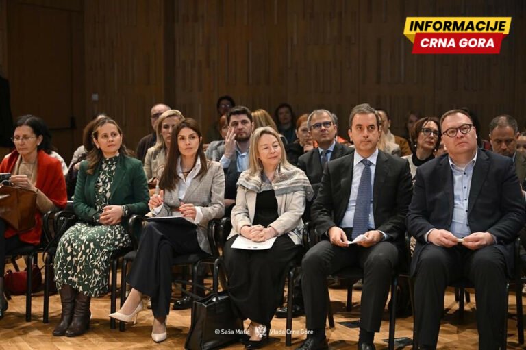 Ministarstvo vanjskih poslova organizovalo prijem povodom Dana Frankofonije