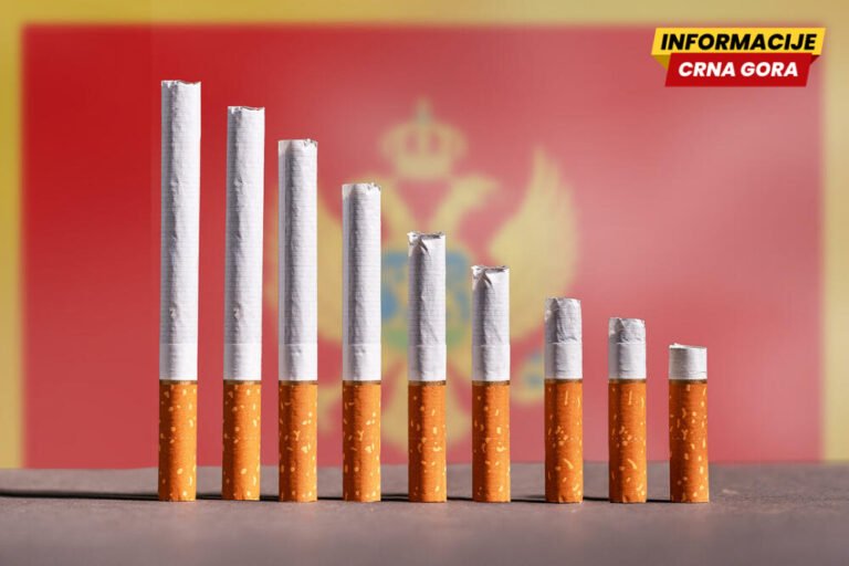 Veljiću tri godine, majci kućni zatvor: Izrečena prvostepena presuda nesvakidašnjoj kriminalnoj organizaciji