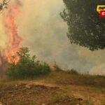 Manjkalo novca za pomoć u sanaciji šteta: Komisija će Vladu upoznati o dešavanjima tokom prošlogodišnjih požara