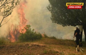 Manjkalo novca za pomoć u sanaciji šteta: Komisija će Vladu upoznati o dešavanjima tokom prošlogodišnjih požara