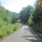 Zagrad Montenegro: Šumski komleks Seloštak bez zaštite uprkos inicijativi iz 2023. godine