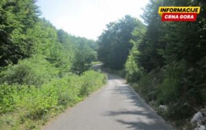 Zagrad Montenegro: Šumski komleks Seloštak bez zaštite uprkos inicijativi iz 2023. godine