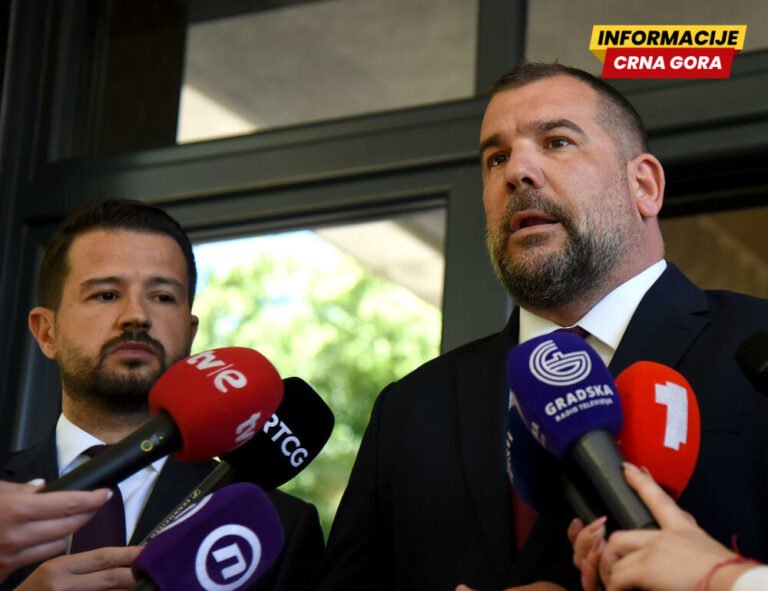 Vlada: Krapovićeve nadležnosti saglasne s Ustavom