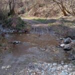 Mještani bjelopoljskog sela do kuća mogu jedino traktorima