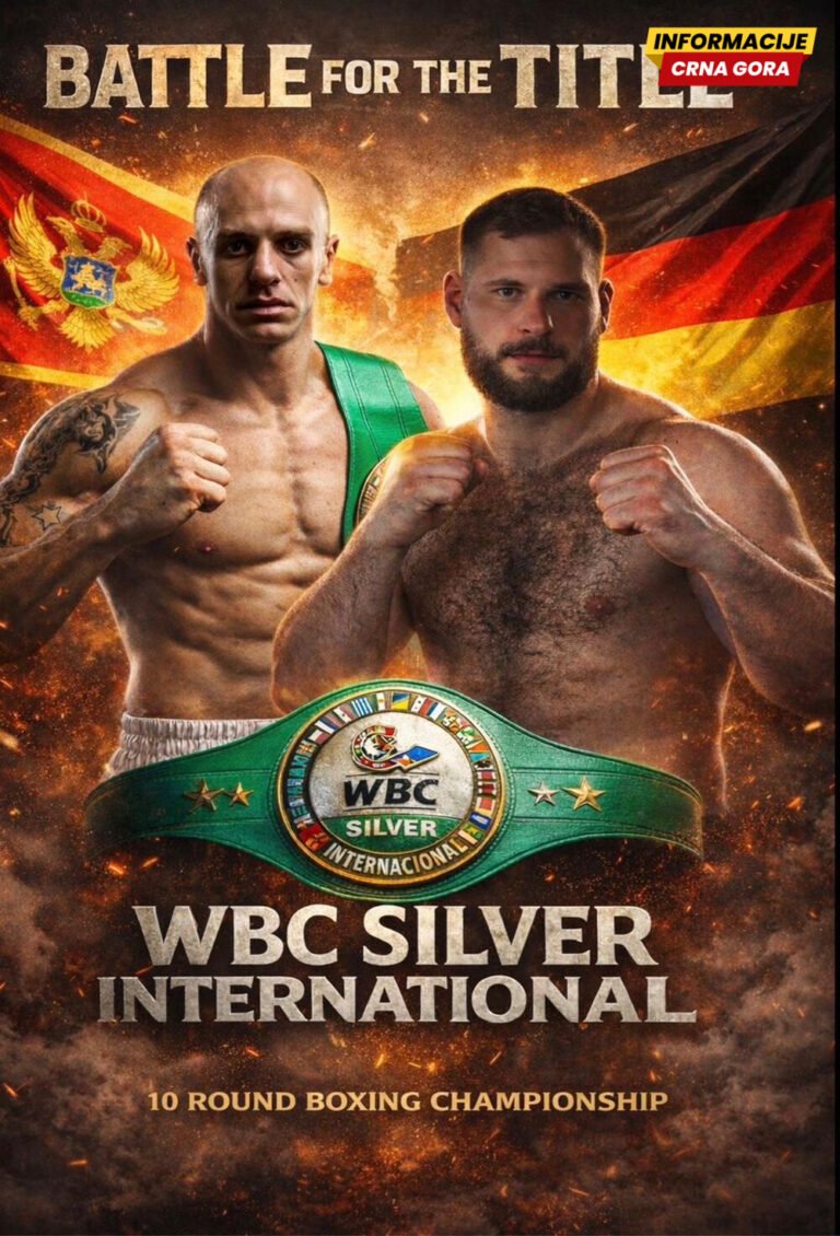 Borba karijere Zvjezdana Vidakovića