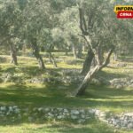 Obnoviti formiranje naselja “Valdanos”: O zahtjevu će raspravljati na sjednici SO Ulcinj zakazanoj za 27. mart