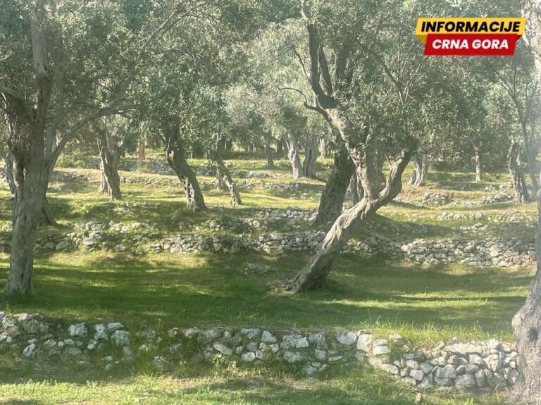 Obnoviti formiranje naselja "Valdanos": O zahtjevu će raspravljati na sjednici SO Ulcinj zakazanoj za 27. mart