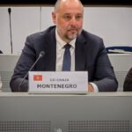 Vitomirović: Crna Gora u potpunosti posvećena ispunjavanju svih obaveza do kraja godine