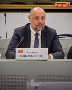 Vitomirović: Crna Gora u potpunosti posvećena ispunjavanju svih obaveza do kraja godine