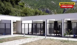 Park i plaža za pse, kazne za nelegalne: Opština Bar napravila plan za kontrolu lutalica i domaćih ljubimaca