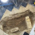 Misterija duga 350 godina: U Mastrihtu pronađen skelet, mogao bi pripadati D’ Artanjanu