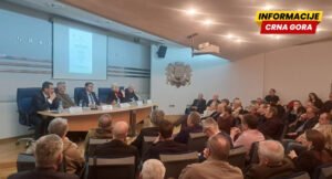 Radulović: Crnogorska zajednica je između evropski profilisanog društva i povratka u koncepte po modelu “bosnizacije”