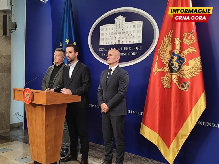 Zirojević: Usvajanje Zakona o unutrašnjim poslovima izazvalo pometnju kod časnih pripadnika policije