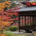 Jesen u Japanu: o prazninama, pragovima i prolaznim ljepotama