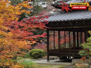 Jesen u Japanu: o prazninama, pragovima i prolaznim ljepotama