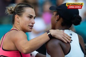 Arina u velikom, društvu