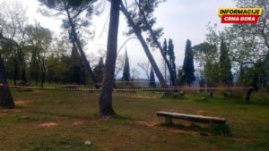 Upozorenje: Postoji opasnost od obrušavanja velikih stabala na Gorici