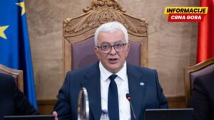 Mandić: Raspisani javni pozivi za izbor članova savjeta AMU i RTCG