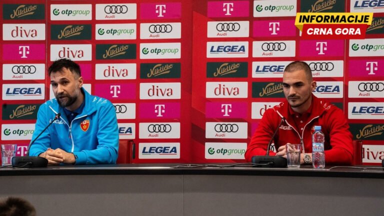 Vučinić pred Sloveniju: Biće devet ili 10 promjena u startnih 11