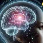 Promjene u mozgu do kojih dolazi kada se ne unosi dovoljno proteina