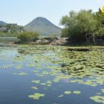 U saradnji sa Upravom carina zaplijenjeno 11 aparata namijenjenih za nelegalan izlov ribe