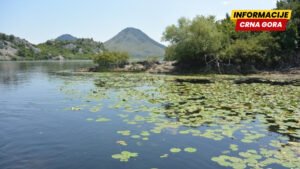 U saradnji sa Upravom carina zaplijenjeno 11 aparata namijenjenih za nelegalan izlov ribe