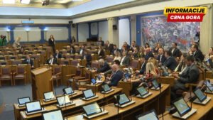 “Zakone o Vladi i Skupštini usvojiti istovremeno”