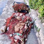 Ribari upozoravaju na štetu nakon manevra kruzera u Luci Kotor