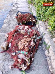 Ribari upozoravaju na štetu nakon manevra kruzera u Luci Kotor