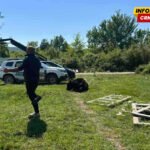 NVO “Prijatelji životinja Podgorica”: Tivatska komunalna služba navodno puca na napuštenu krupnu stoku