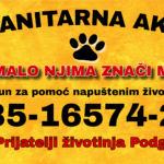Humanitarna akcija za napuštene životinje: “Naše malo njima znači mnogo”