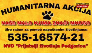 Humanitarna akcija za napuštene životinje: “Naše malo njima znači mnogo”