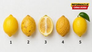 Test sa limunom: Šta vam zagorčava život?